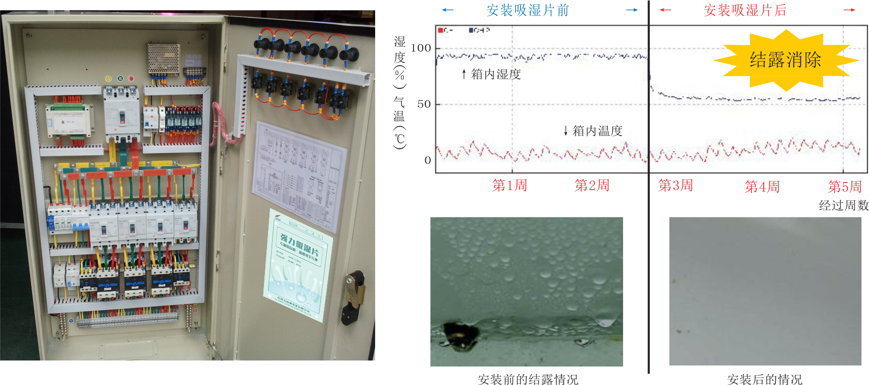 1637805532945936.png 02.png